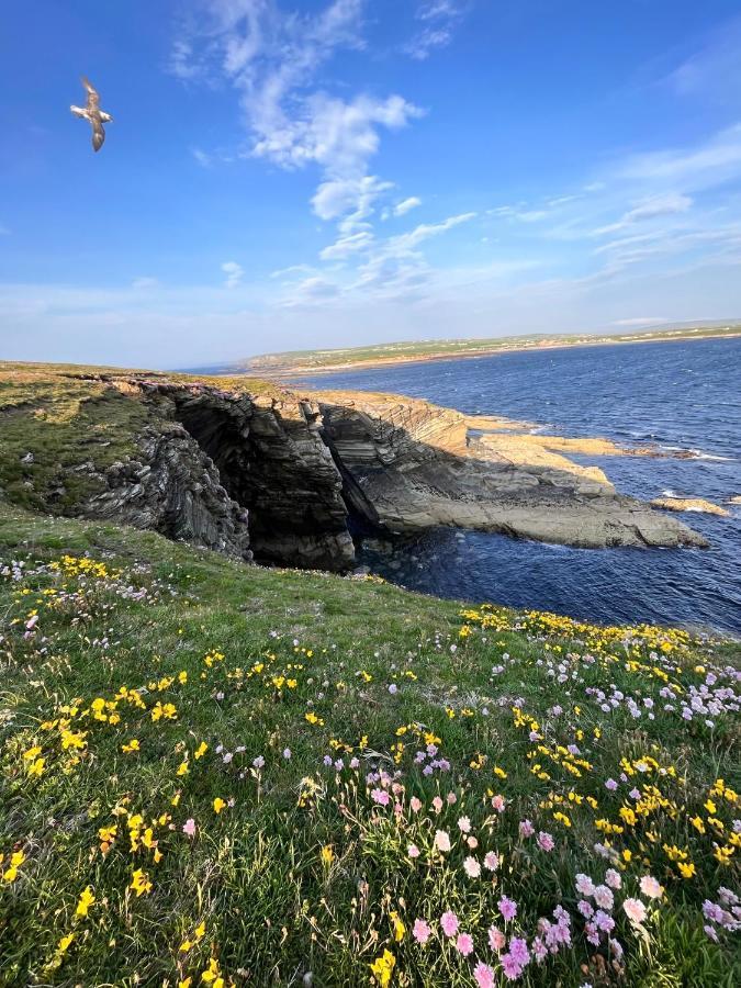 Peedie Cott Self-Catering, Orkney Saint Margarets Hope 외부 사진