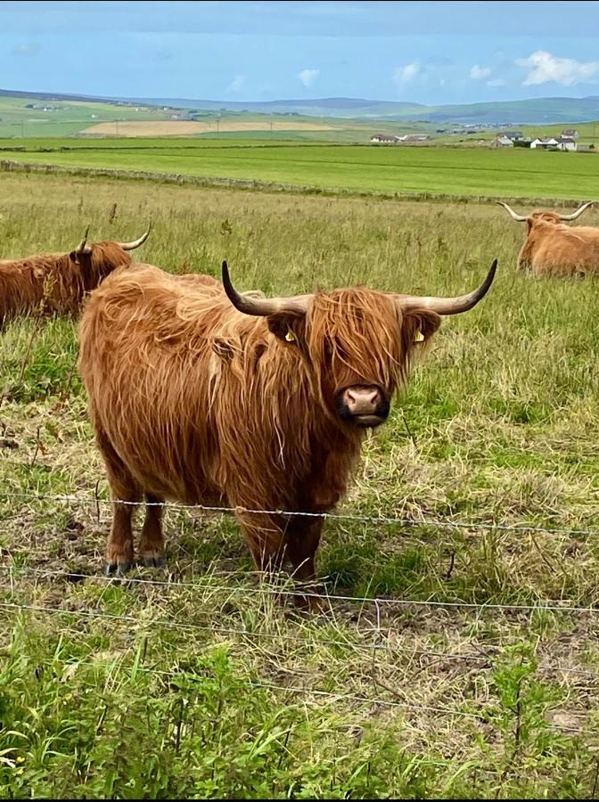 Peedie Cott Self-Catering, Orkney Saint Margarets Hope 외부 사진